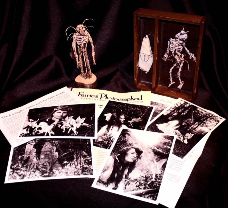The Faerie Files